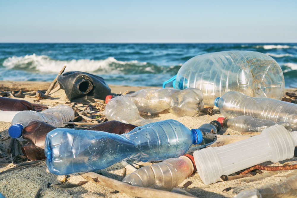 garbage cleanup georgian bay